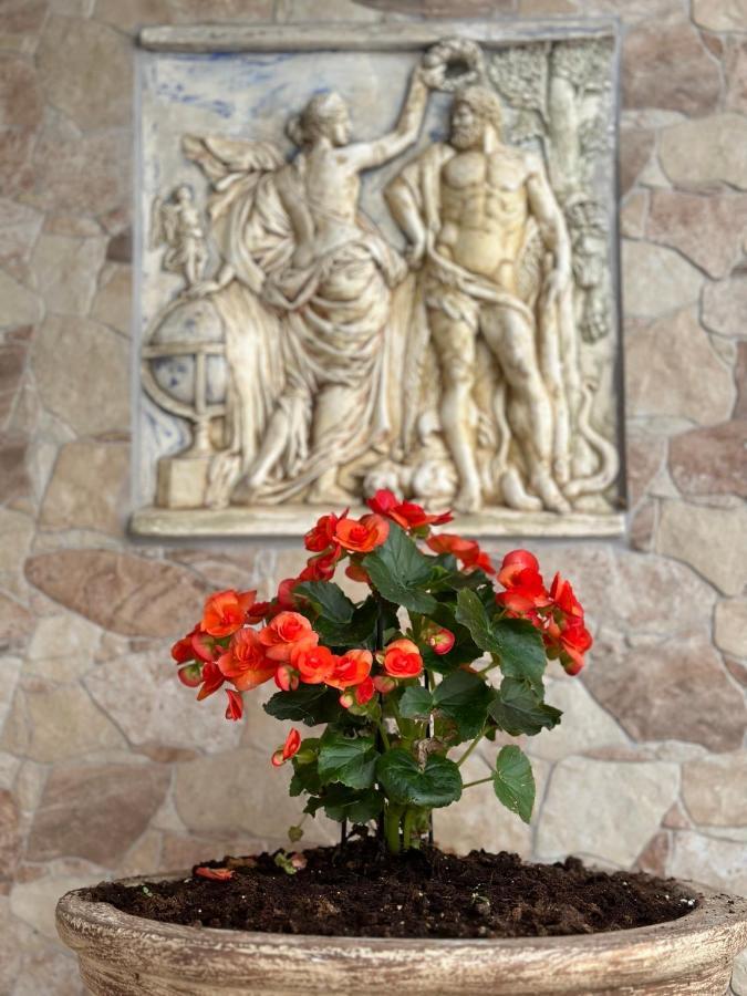 The Odyssey Holiday Home - Agios Ioannis, Pelion Agios Ioannis  Exterior photo